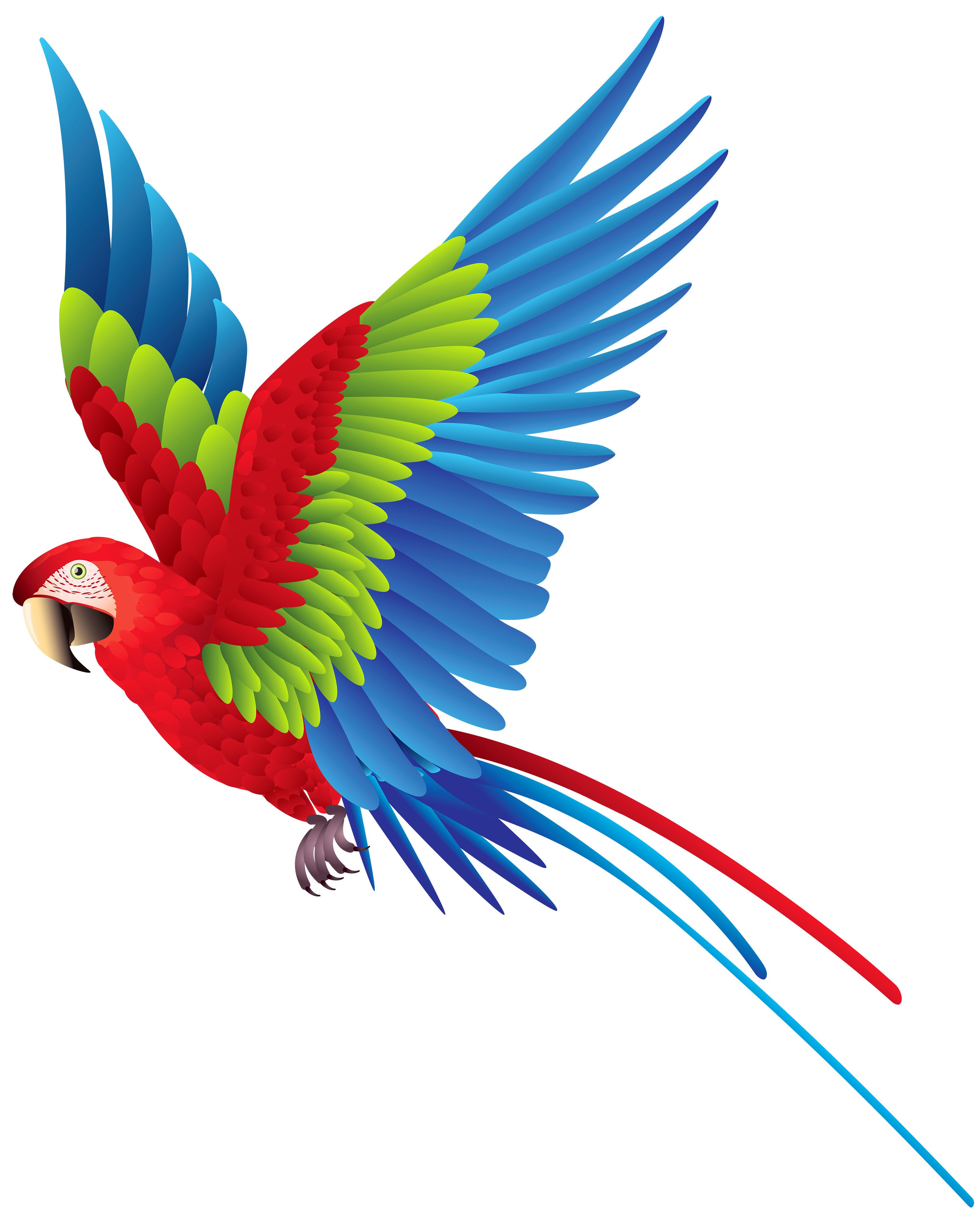 Detail Parrots Png Nomer 6