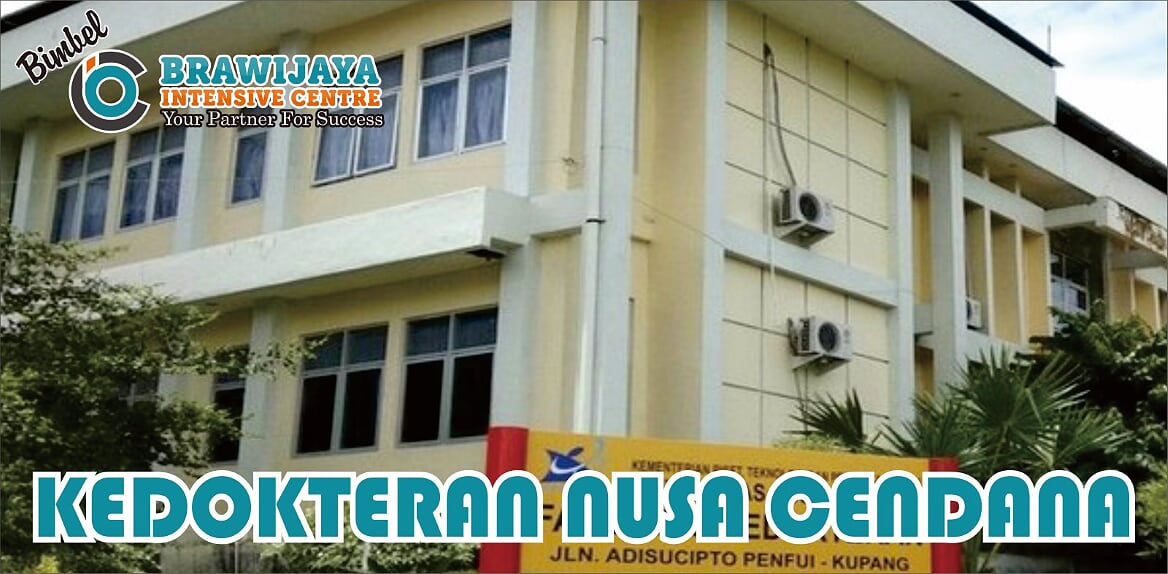 Detail Logo Universitas Nusa Cendana Nomer 21