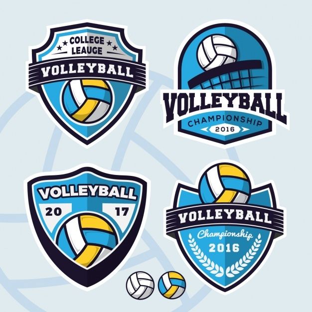 Detail Logo Volleyball Keren Nomer 55