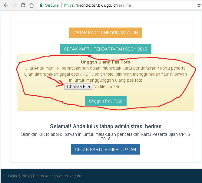Detail Pas Foto Cpns 2018 Nomer 12