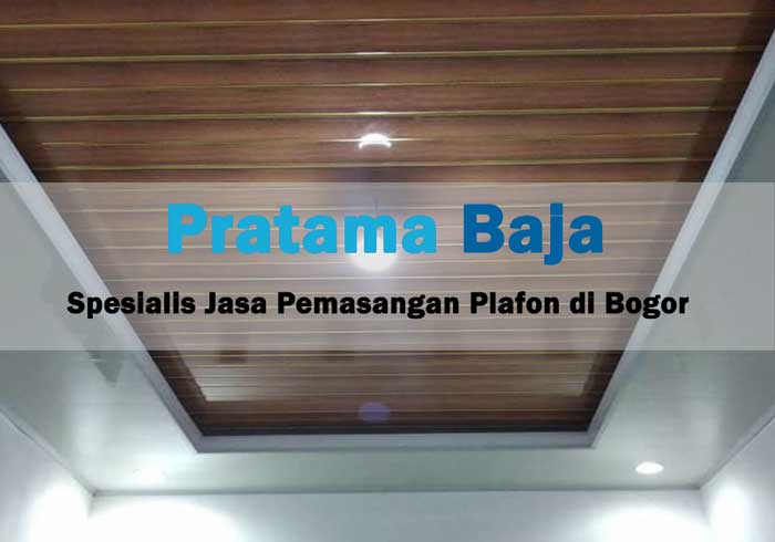 Detail Pasang Plafon Rumah Nomer 31