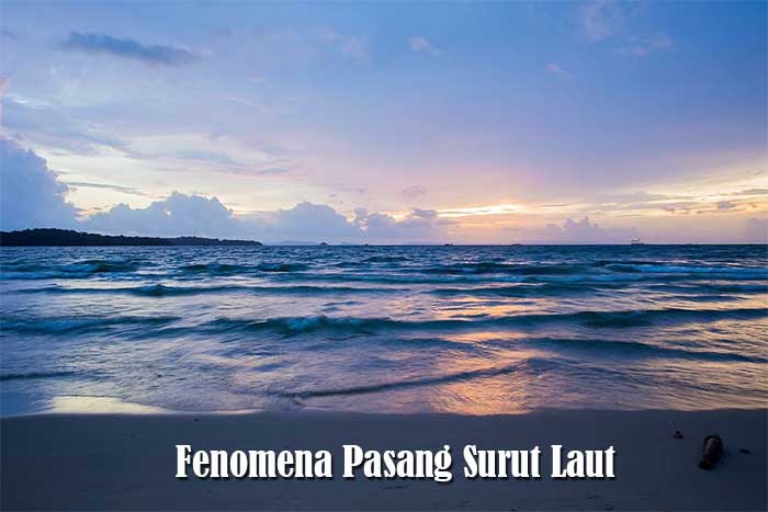 Detail Pasang Surut Air Laut Hari Ini Nomer 46