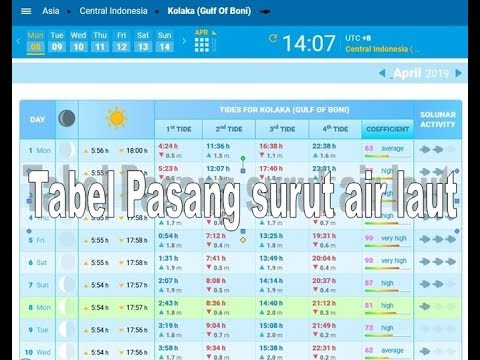 Detail Pasang Surut Air Laut Hari Ini Nomer 7