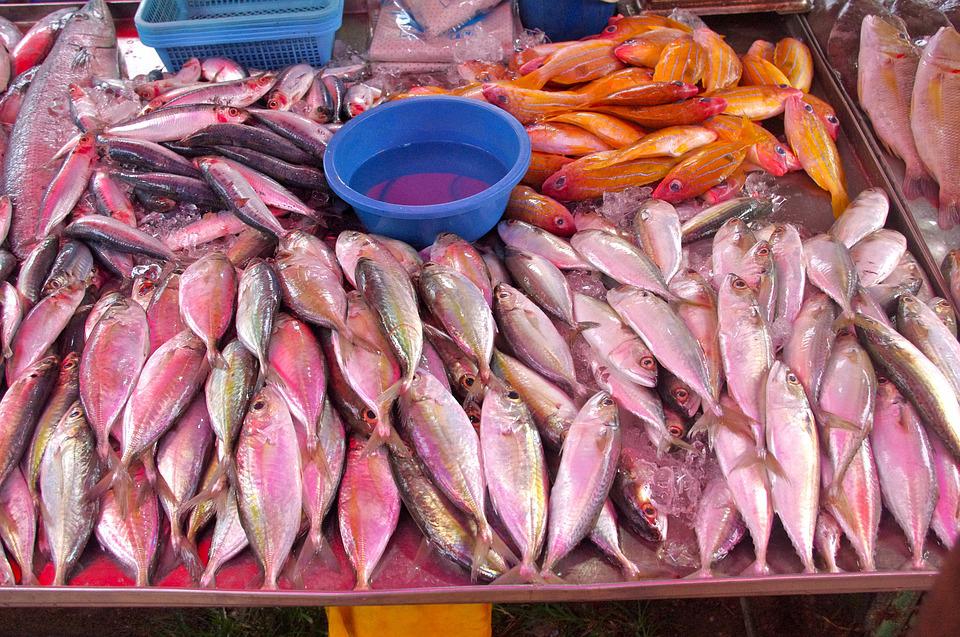 Detail Pasar Ikan Segar Nomer 20
