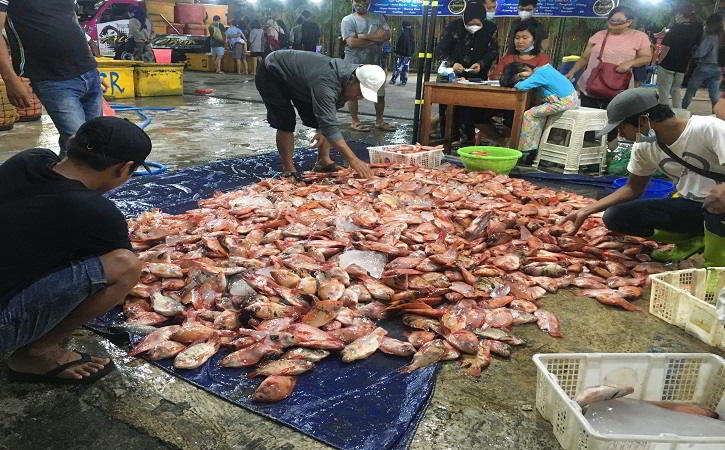 Detail Pasar Ikan Segar Nomer 22