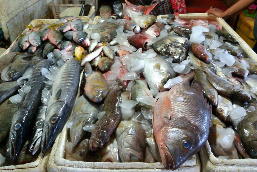 Detail Pasar Ikan Segar Nomer 26