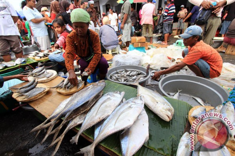 Detail Pasar Ikan Segar Nomer 47