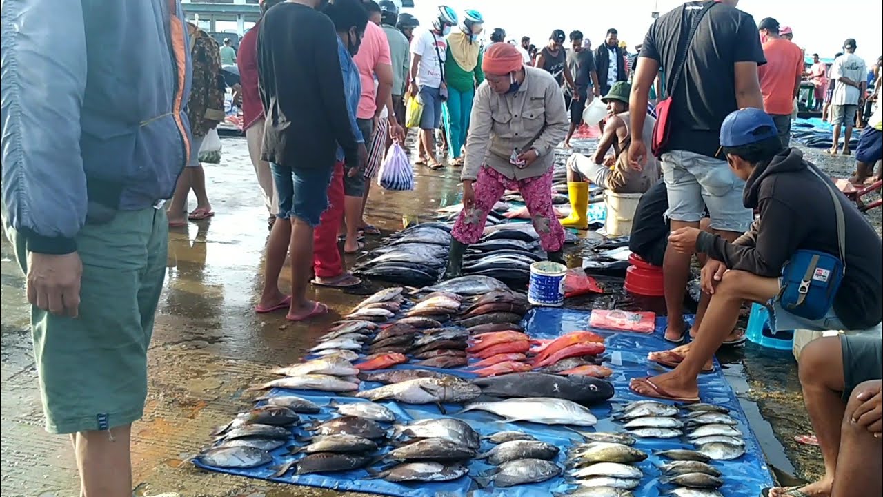 Detail Pasar Ikan Tradisional Nomer 11