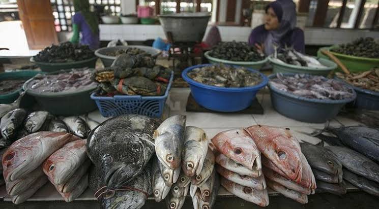 Detail Pasar Ikan Tradisional Nomer 25