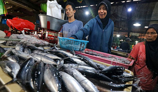 Detail Pasar Ikan Tradisional Nomer 32