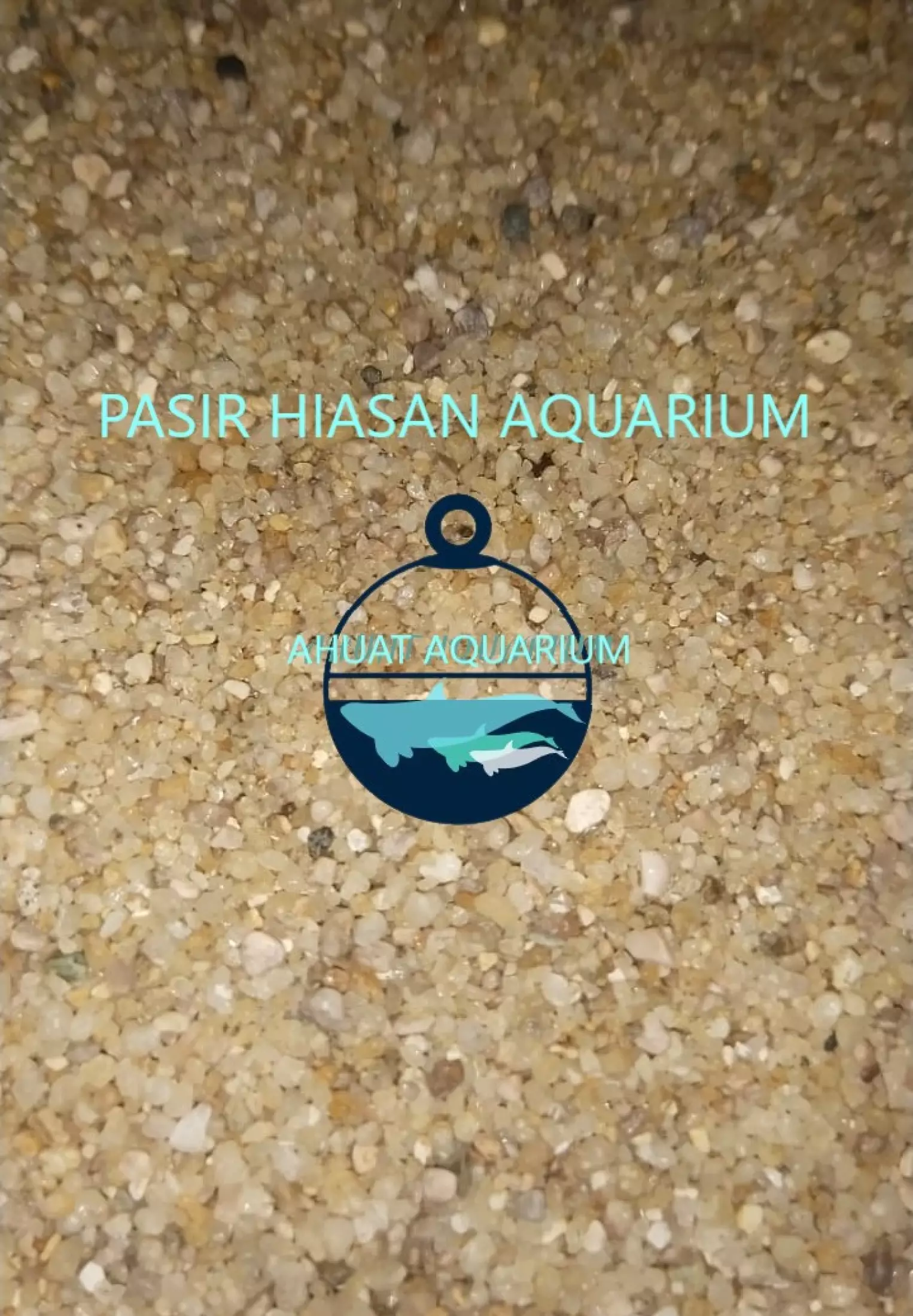 Detail Pasir Bali Aquarium Nomer 30