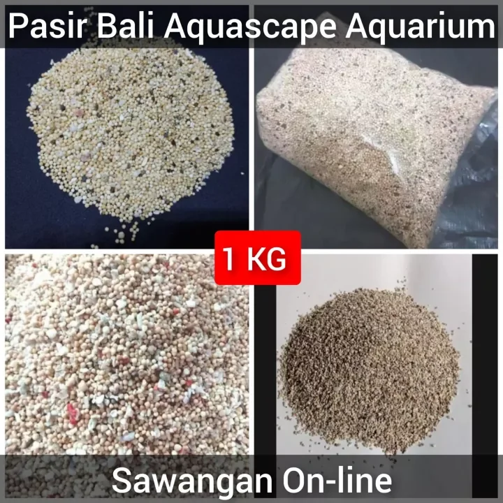 Detail Pasir Bali Aquarium Nomer 55