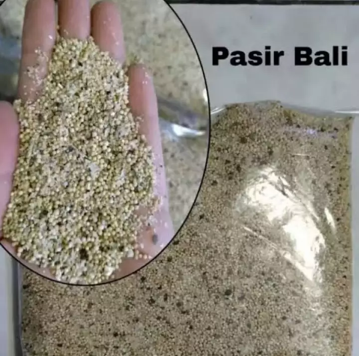 Detail Pasir Bali Untuk Aquascape Nomer 38