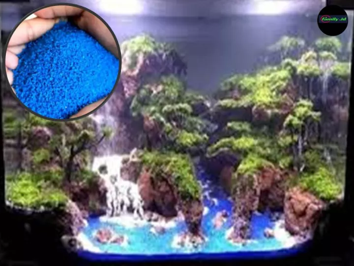 Detail Pasir Biru Aquascape Nomer 26
