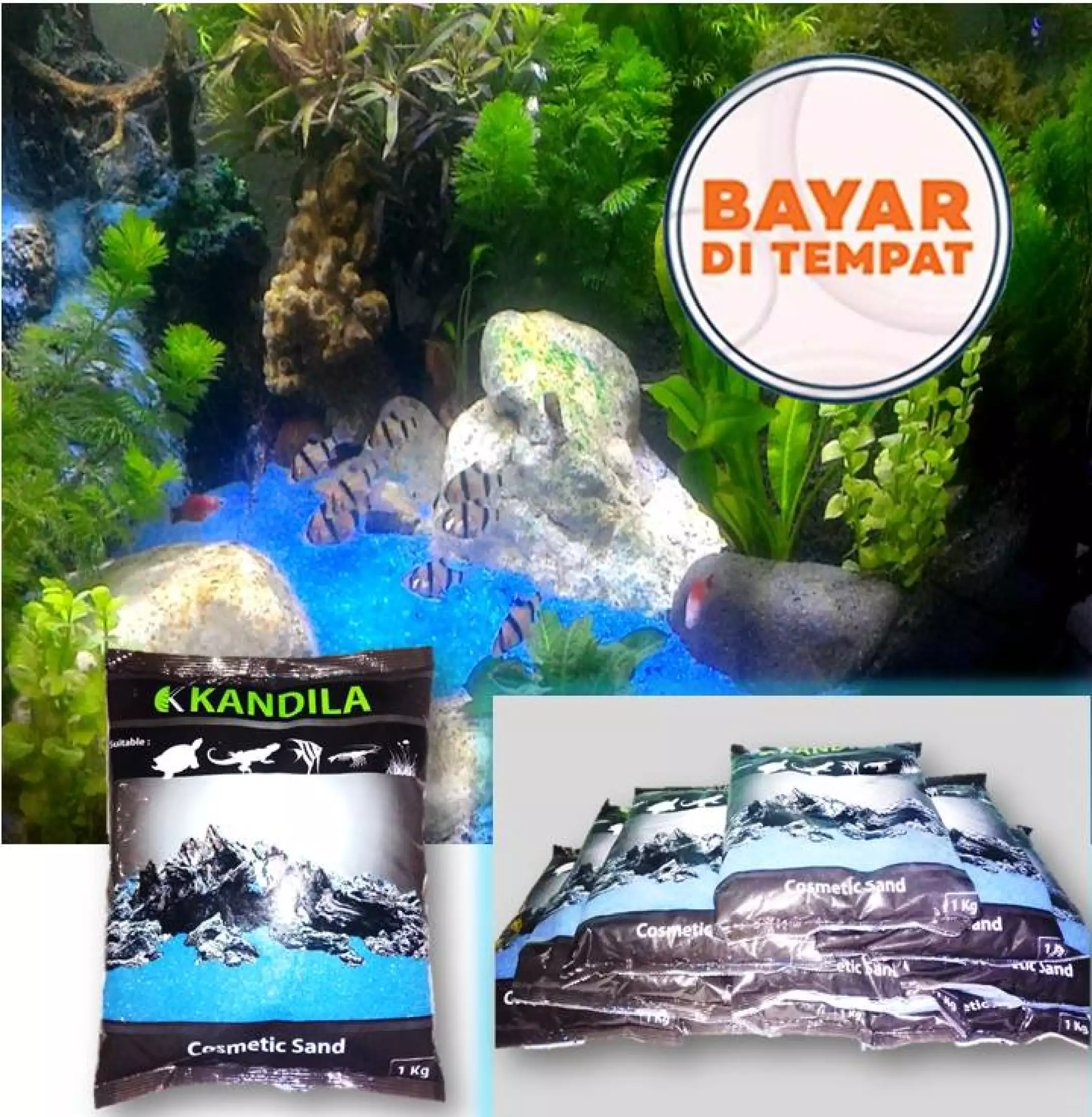 Detail Pasir Biru Aquascape Nomer 36