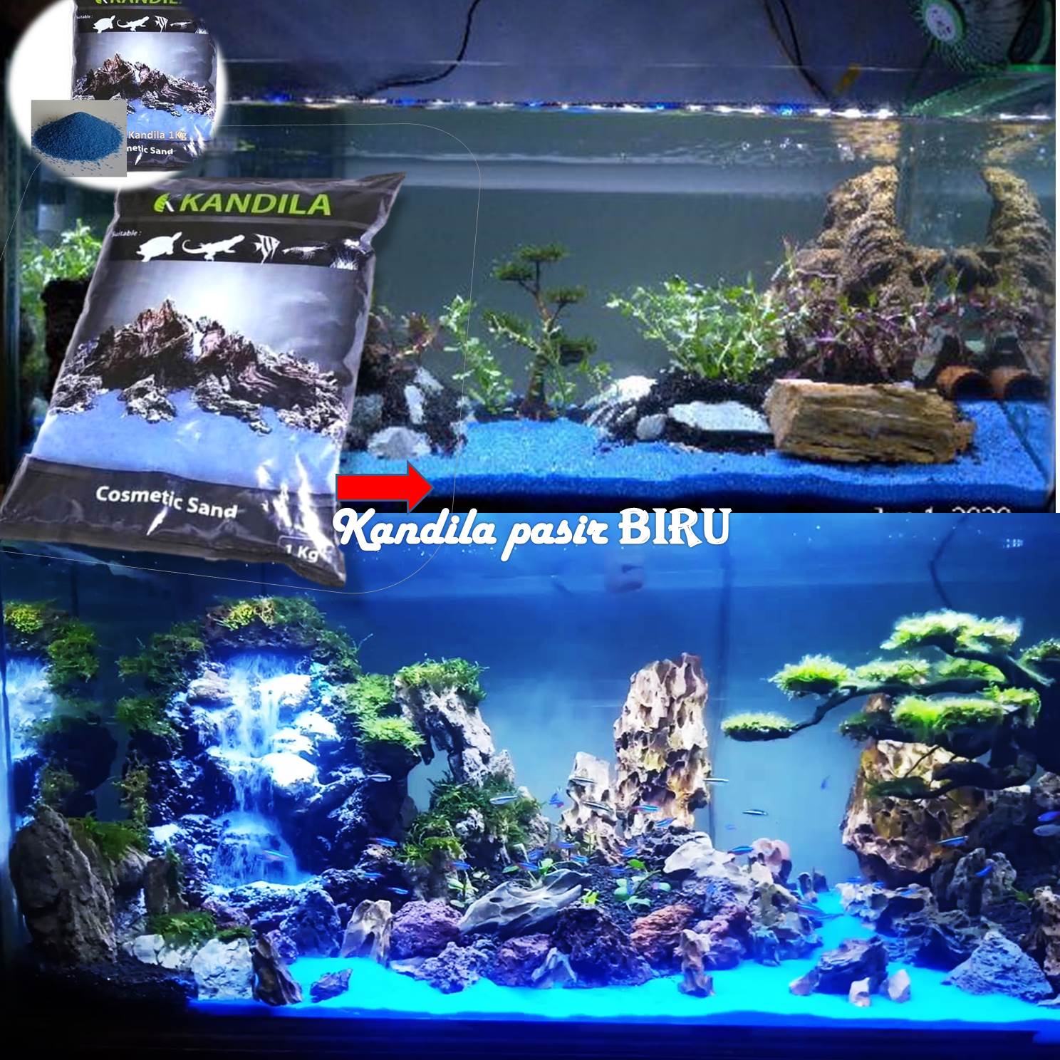 Detail Pasir Biru Aquascape Nomer 9