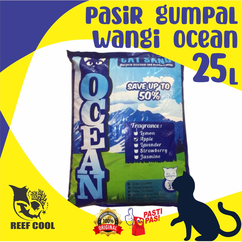 Detail Pasir Kucing Ocean Nomer 59