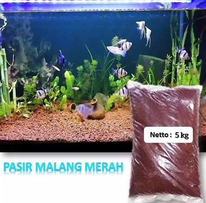 Detail Pasir Malang Aquascape Nomer 31