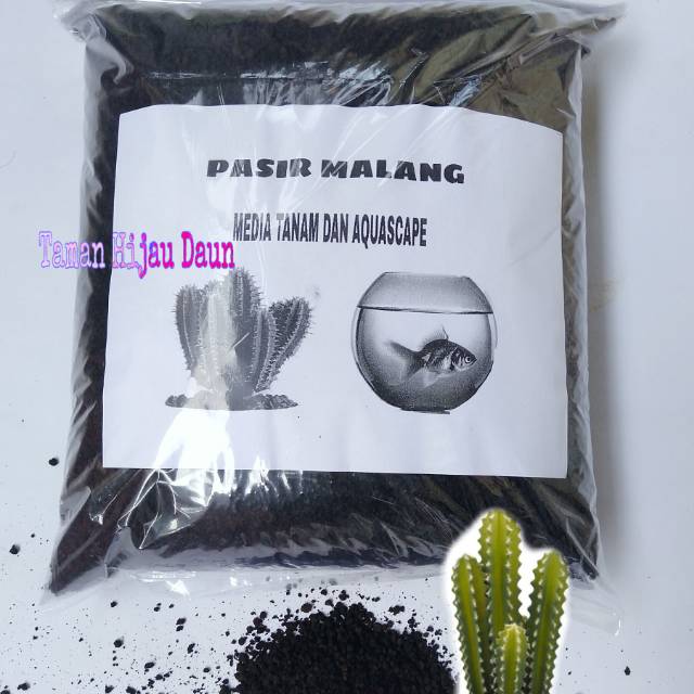 Detail Pasir Malang Aquascape Nomer 45