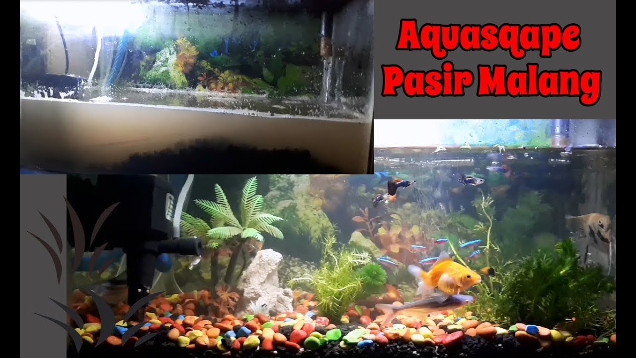 Detail Pasir Malang Aquascape Nomer 48