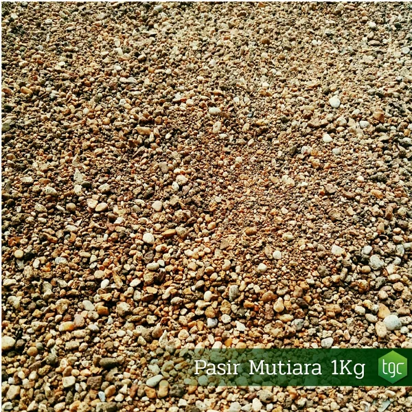 Detail Pasir Mutiara Aquascape Nomer 24