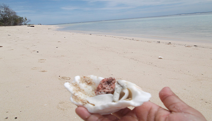 Detail Pasir Pantai Putih Nomer 54