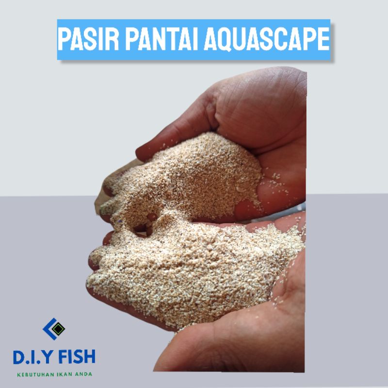 Detail Pasir Pantai Untuk Aquarium Nomer 50