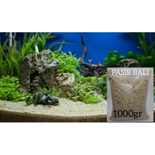 Detail Pasir Untuk Akuarium Air Tawar Nomer 20