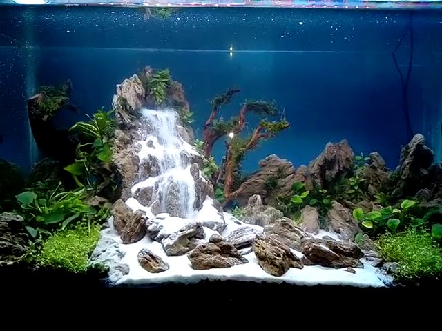 Detail Pasir Untuk Akuarium Air Tawar Nomer 40