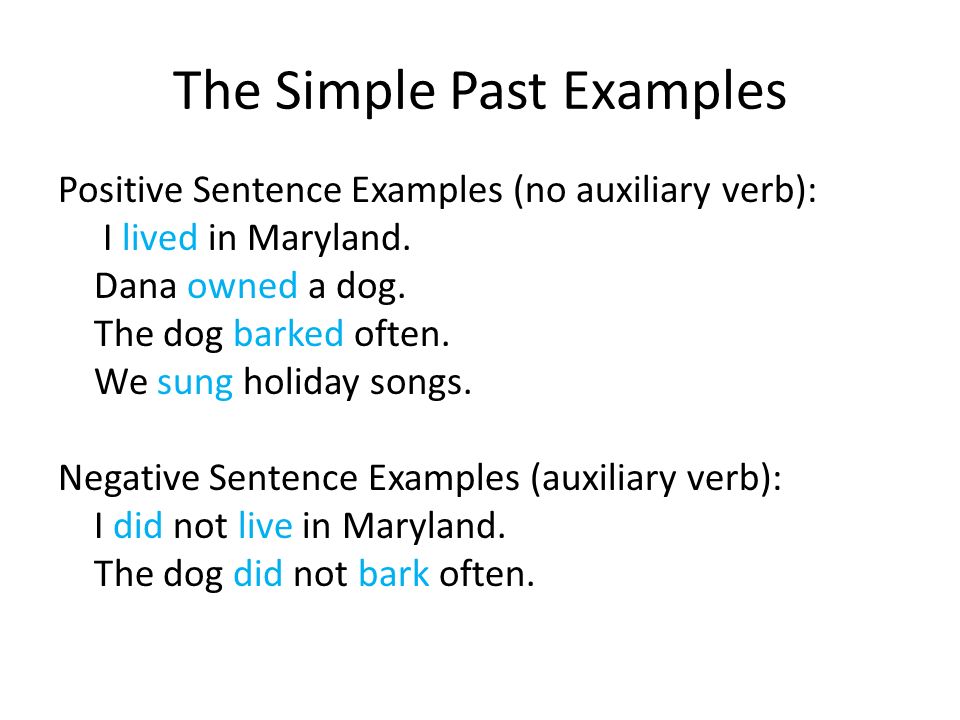 Detail Past Tense Contoh Nomer 42