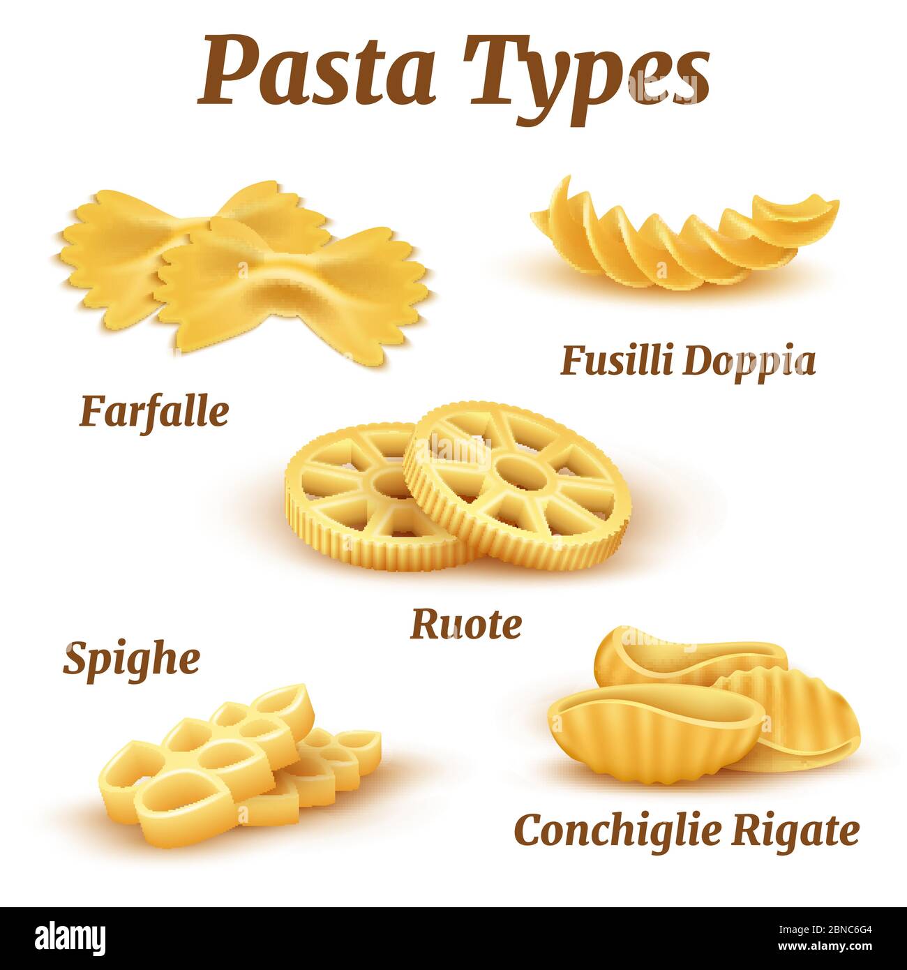 Detail Pasta Varieties Images Nomer 37