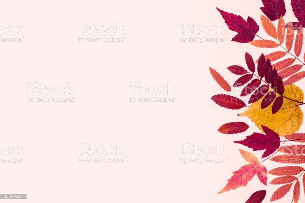 Detail Pastel Background Daun Nomer 32