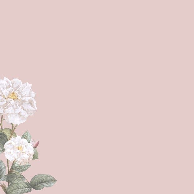 Detail Pastel Background Plain Nomer 52