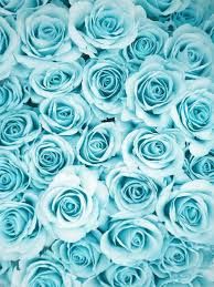 Detail Pastel Blue Background Tumblr Nomer 4