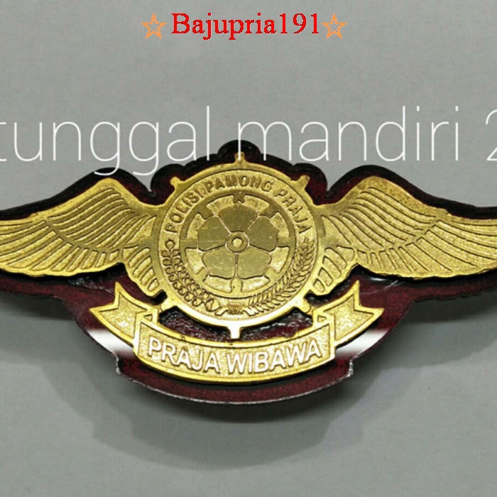 Detail Logo Wing Satpol Pp Nomer 15