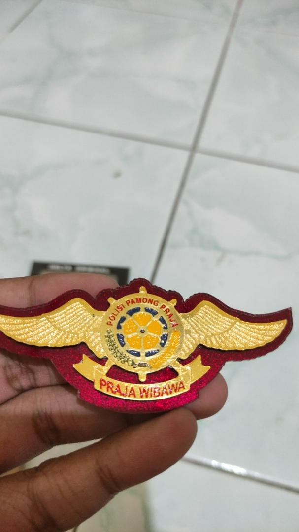 Detail Logo Wing Satpol Pp Nomer 55