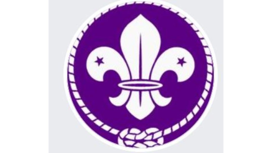 Detail Logo Wosm Pramuka Nomer 19