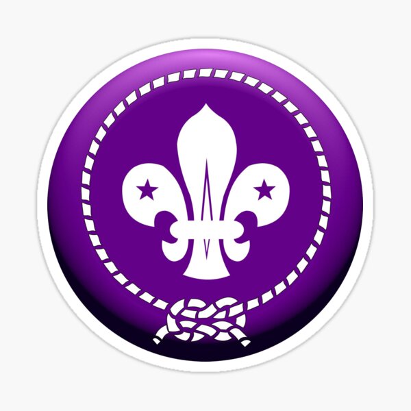 Detail Logo Wosm Pramuka Nomer 2