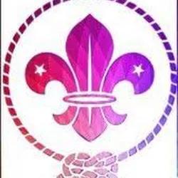 Detail Logo Wosm Pramuka Nomer 35