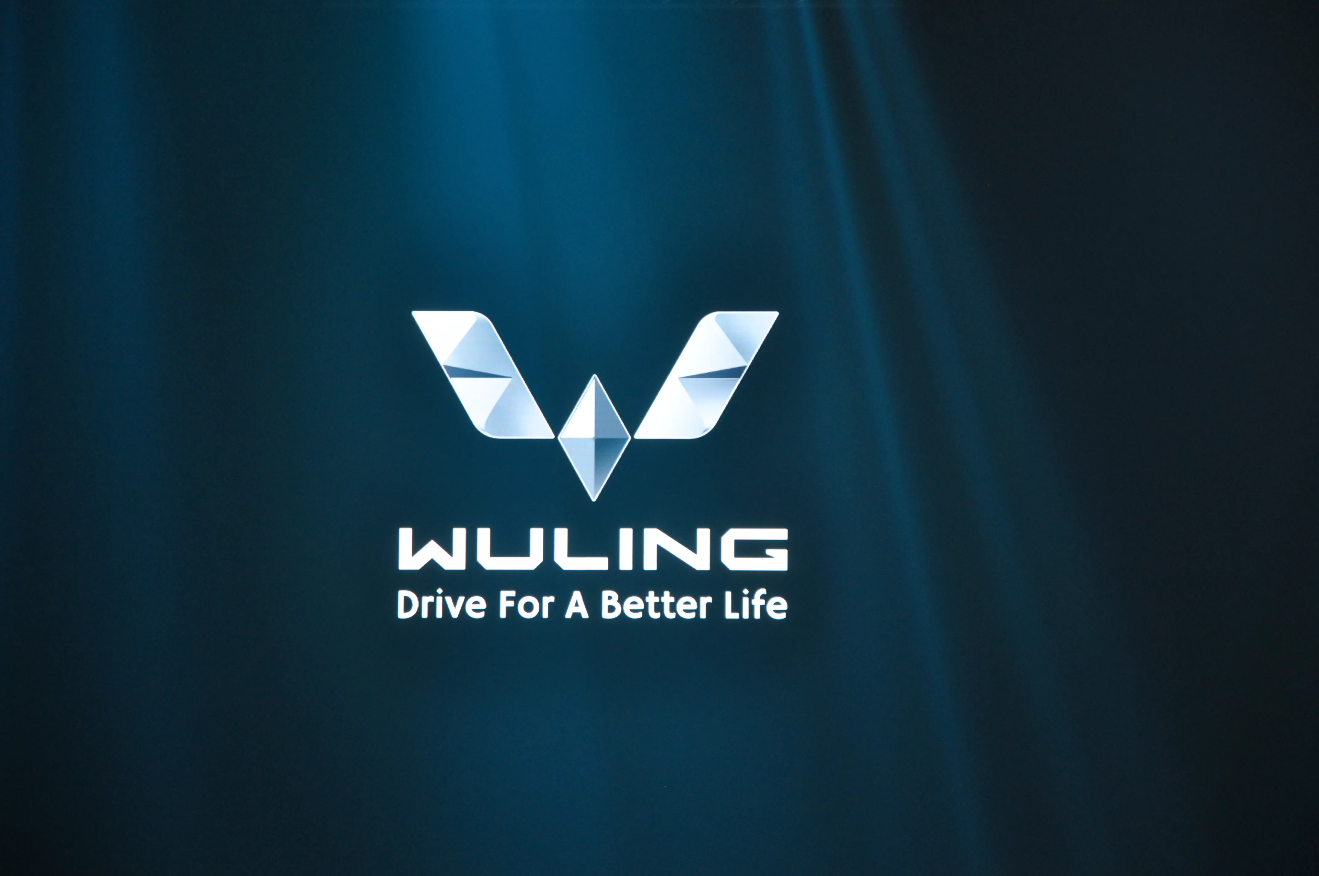 Detail Logo Wuling Motors Nomer 31