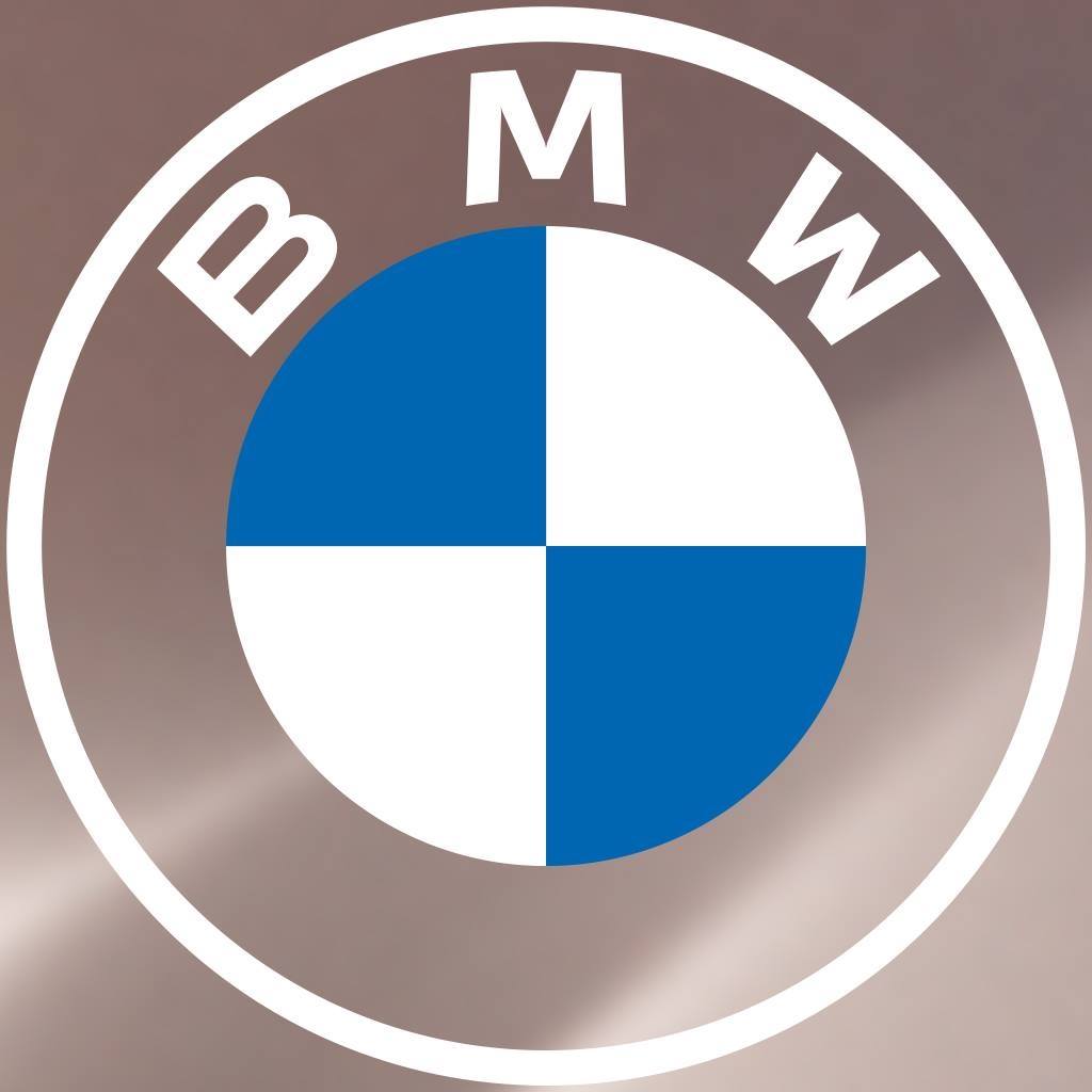 Detail Logotipo Bmw Nomer 5