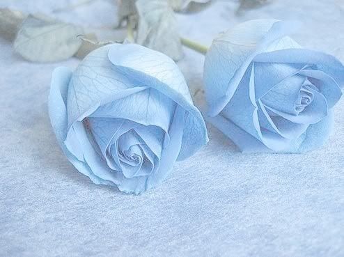 Detail Pastel Blue Tumblr Nomer 7