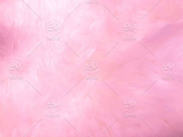 Detail Pastel Colour Background Pink Pastel Nomer 39