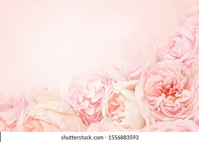 Detail Pastel Floral Background Nomer 47