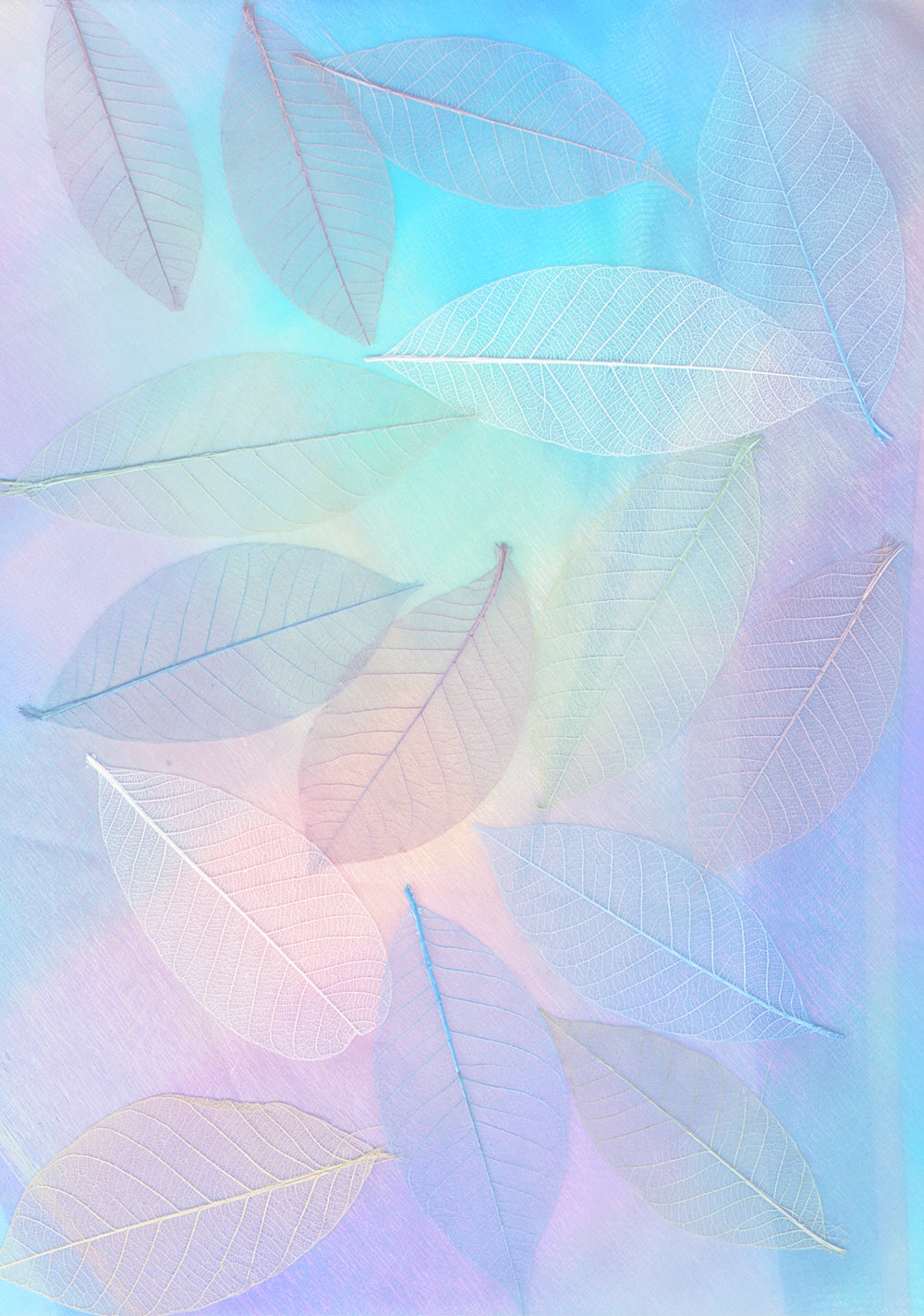 Detail Pastel Hd Wallpaper Nomer 3