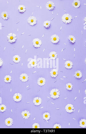 Detail Pastel Purple Background Nomer 38