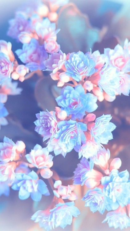 Detail Pastel Tumblr Wallpaper Nomer 31