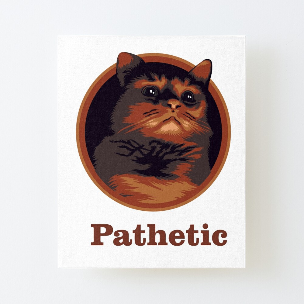 Detail Pathetic Cat Meme Nomer 12