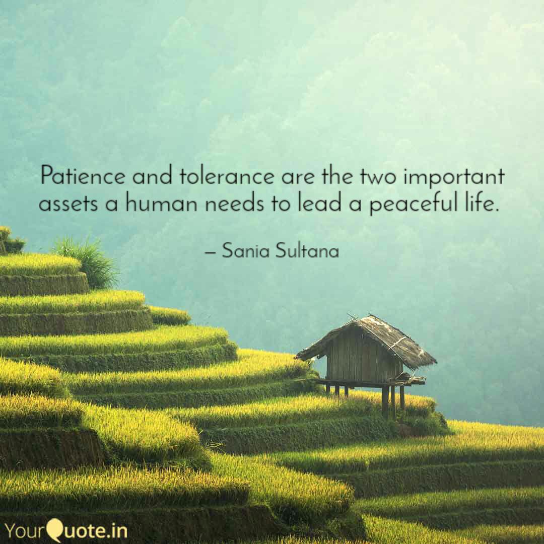 Detail Patience And Tolerance Quotes Nomer 21