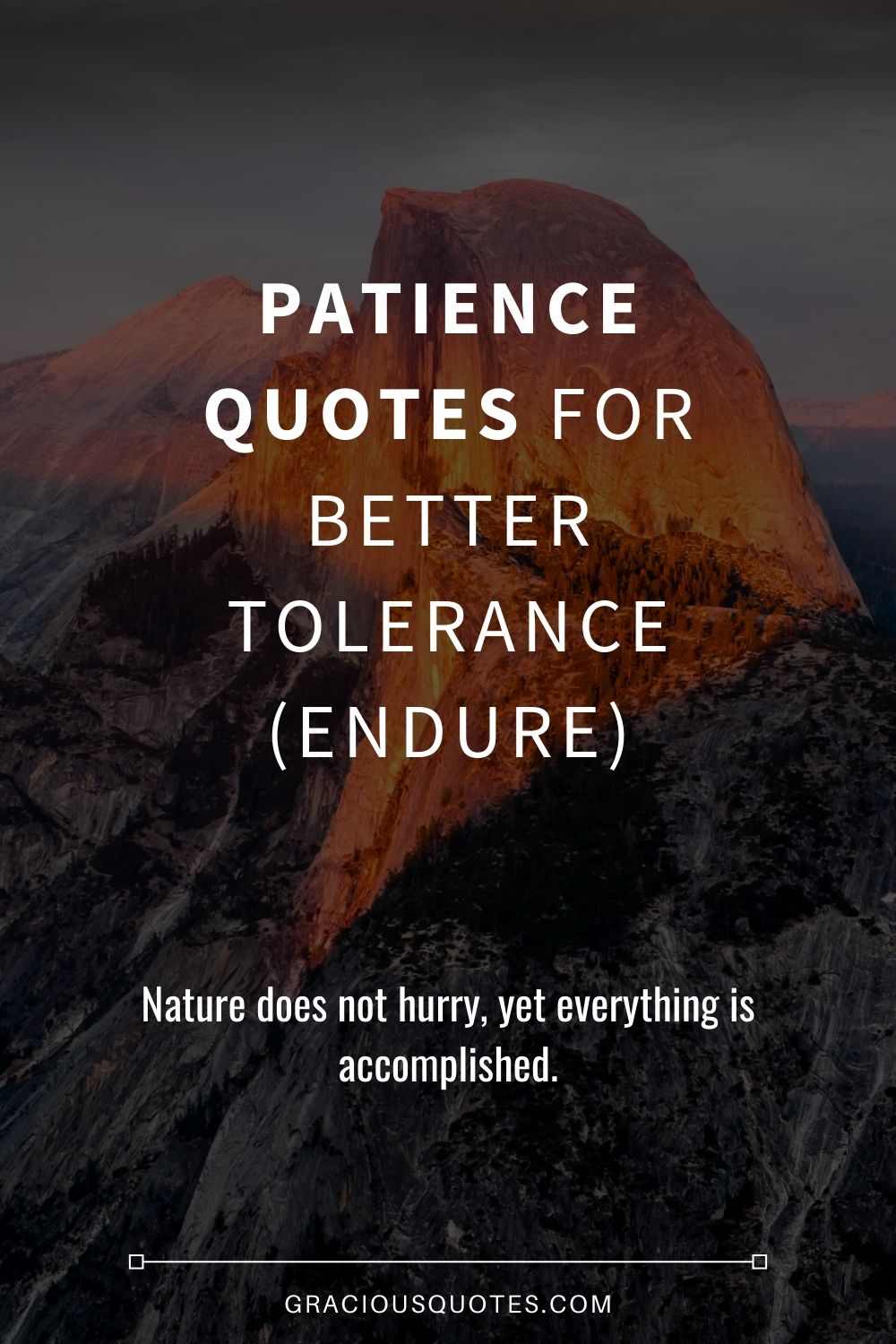 Detail Patience And Tolerance Quotes Nomer 4